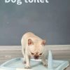 YES4PETS Medium Portable Dog Potty Training Tray Pet Puppy Toilet Trays Loo Pad Mat Blue