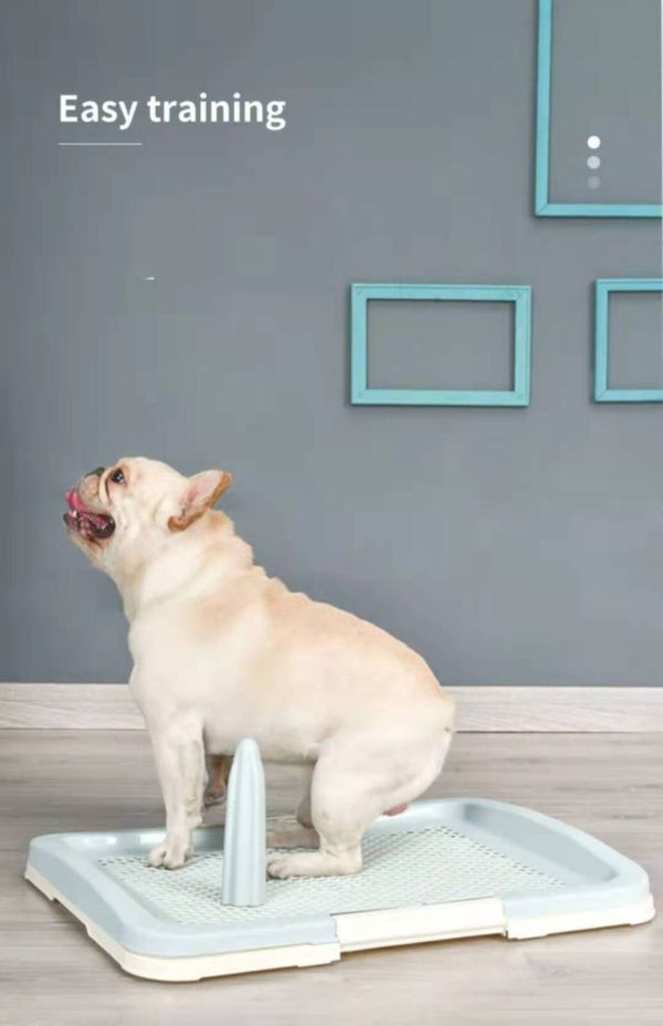 YES4PETS Medium Portable Dog Potty Training Tray Pet Puppy Toilet Trays Loo Pad Mat Blue
