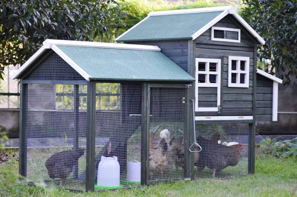 YES4PETS XL Chicken Coop Rabbit Hutch Guinea Pig Cage Ferret House