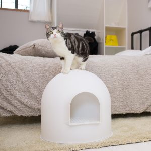 PIDAN Igloo Cat Litter Box – White