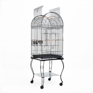 Bird Cage Parrot Aviary Soprano