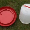 Farm Poultry Bird Chicken Water Drinker 3 L & 3 kg Food Grain Seed Feeder Set