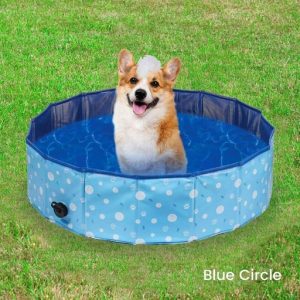 Pet Pool 120cm*30cm Blue Circle FI-SB-110-HR
