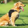 Dog Harness M Size (Black)
