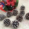 18 Christmas Natural Pine Cones Xmas Tree Hanging Home Decoration Ornament Gifts, 18x Natural Pinecones