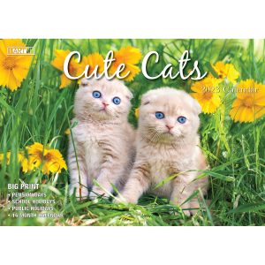 Cute Cats 2023 Rectangle Wall Calendar 16 Months Planner New Year Christmas Gift