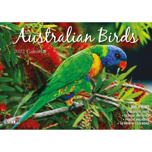 Australian Birds  2023 Rectangle Wall Calendar 16 Months Planner New Year Gift