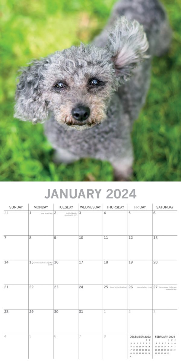 Dogs in the Wind 2024 Square Wall Calendar Pets Animals 16 Month Premium Planner