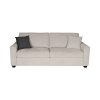 2 Seater Sofa Set Polyester Fabric Multilayer Two Pillows Attached Individual Pocket Spring