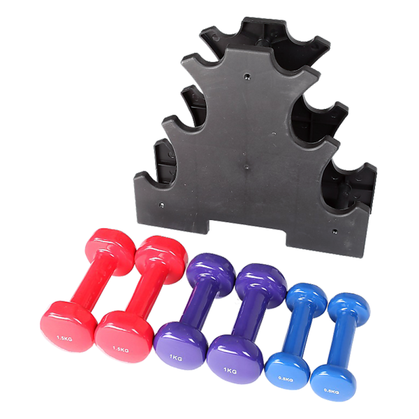 6-Piece Dumbbell Set with Rack