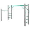 Lifespan Kids Amazon Monkey Bars Only – 2.5 M