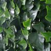 Ivy Leaf Screens / Panels UV Stabilised 1m X 1m