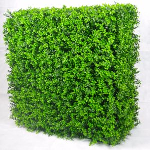 Portable Buxus Hedge UV Stabilised 75cm X 75cm