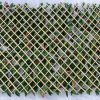 Photinia Hedge Extendable Trellis / Screen 2 Meter By 1 Meter UV Stabilised