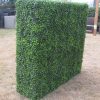 Large Portable Boxwood Hedges UV Stabilised 1.5m By 1.5m