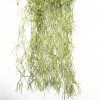 Artificial Air Plant Spanish Moss – Old Man Beard 60cm