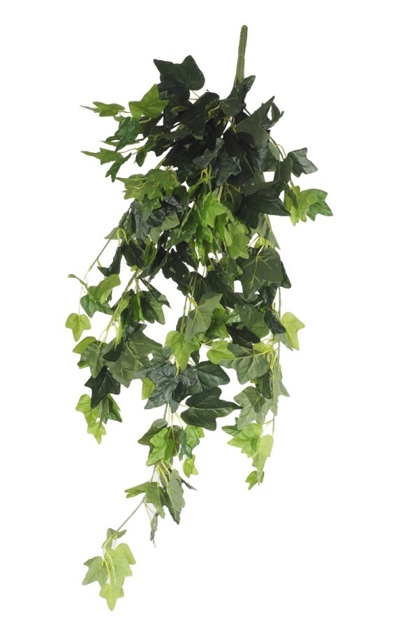 Hanging Green Ivy Bush 80cm