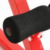 Roman Chair Back Extension Adjustable Weight Bench Fitness 10 Workouts