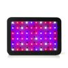 LED Grow Light Full Spectrum – 600 W