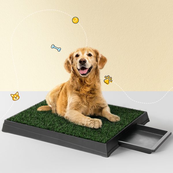 Pet Training Pad Dog Potty Toilet Large Loo Portable With Tray Grass Mat