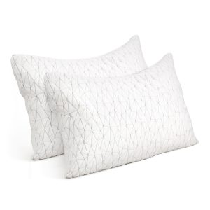 Bedding Set of 2 Rayon Memory Foam Pillow – KING