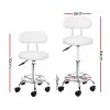 Salon Stool Swivel Chair Backrest Barber Hairdressing Hydraulic Height