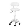 Salon Stool Swivel Chair Backrest Barber Hairdressing Hydraulic Height