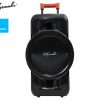 Holysmoke Raphe Bluetooth TWS Party Speaker 12″ Portable