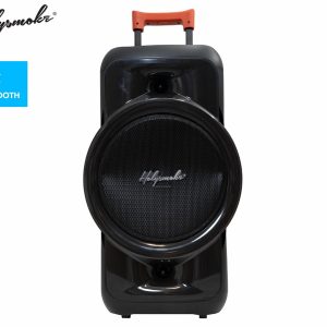 Holysmoke Raphe Bluetooth TWS Party Speaker 12