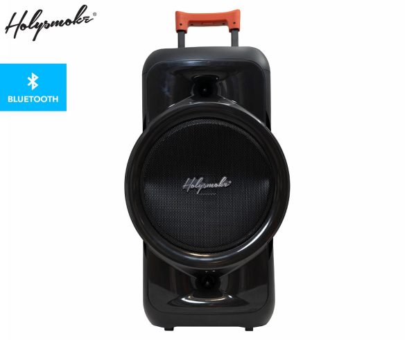 Holysmoke Raphe Bluetooth TWS Party Speaker 12″ Portable