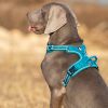 No Pull Harness Blue – M