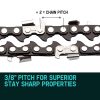 Baumr-AG Chainsaw Chain Bar Replacement for Arborist Saws – 2 x 10 inch