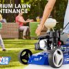 Lawn Mower 139CC 17 Petrol Push Lawnmower 4-Stroke Engine Catch. – Blue