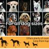 4x4m Dog Enclosure Kennel Large Chain Dogs Cat Cage Pet Animal Cover Shade Fencing Run Playpen