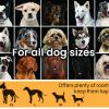 4x4m Dog Enclosure Kennel Large Chain DOgs Cat Cage Pet Animal Fencing Run Outdoor Fenced Playpen