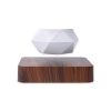 GOMINIMO Magnetic Levitating Plant Pot – Dark Brown