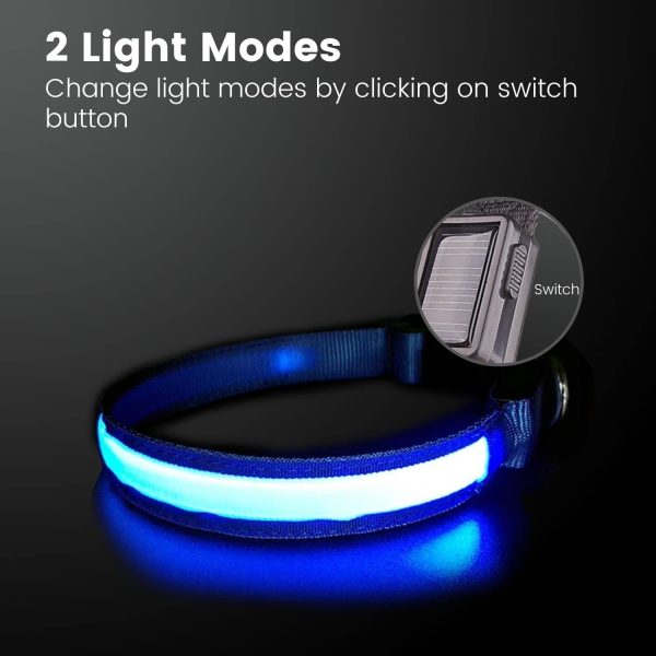 Solar USB Rechargable LED Dog Collar (L Blue)