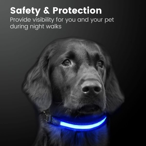 Solar USB Rechargable LED Dog Collar (L Blue)