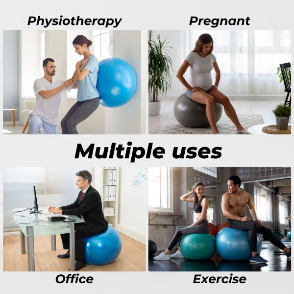 Yoga Ball Home Exercise Gym Pilates Fitness Swiss Ball 65cm (Black)