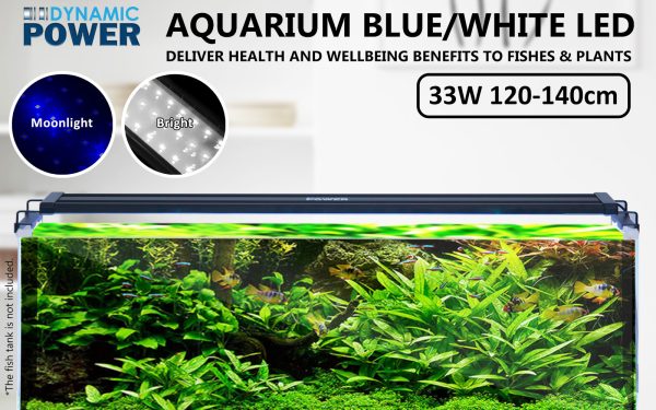 Dynamic Power Aquarium Blue White LED Light for Tank