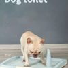 Portable Dog Potty Training Tray Pet Puppy Toilet Trays Loo Pad – 47x34x5.5 cm, Blue