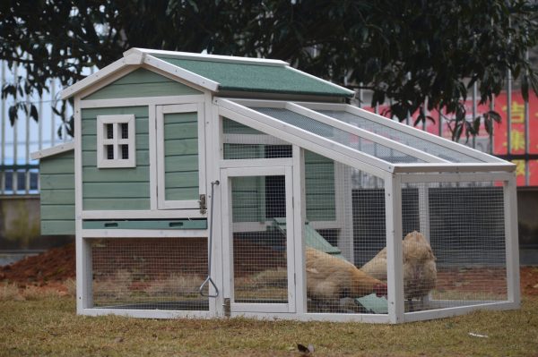 Green Large Chicken Coop Rabbit Hutch Ferret Guinea Pig Cage Hen Chook Cat Kitten House