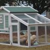 Green Large Chicken Coop Rabbit Hutch Ferret Guinea Pig Cage Hen Chook Cat Kitten House