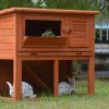 Double Storey Rabbit Hutch Guinea Pig Cage , Ferret cage W Pull Out Tray