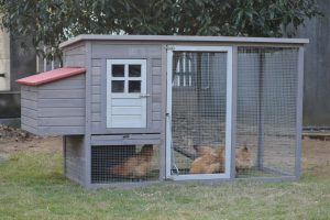 Grey Large Chicken Coop Rabbit Hutch Ferret Cage Hen Chook Cat House