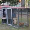 Grey Large Chicken Coop Rabbit Hutch Ferret Cage Hen Chook Cat House