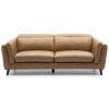 Platteville 2 Seater Sofa Genuine Leather Upholstered Coach Lounge