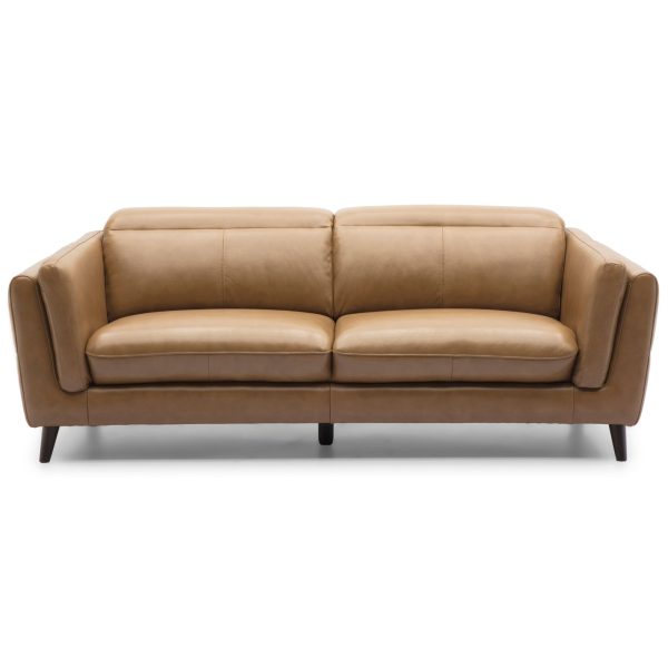 Platteville 2 Seater Sofa Genuine Leather Upholstered Coach Lounge