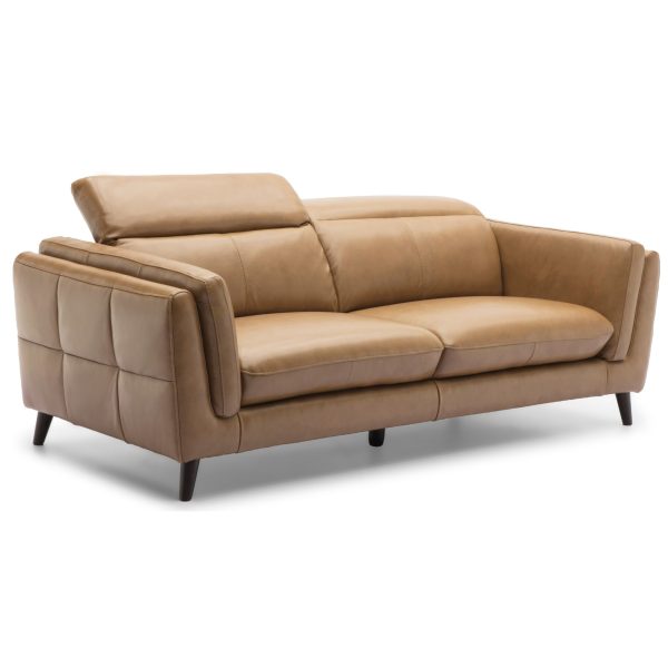 Platteville 2 Seater Sofa Genuine Leather Upholstered Coach Lounge