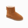 Ugg Boots Genuine Australian Sheepskin Unisex Mini Classic Suede (Chestnut) – Euro 35